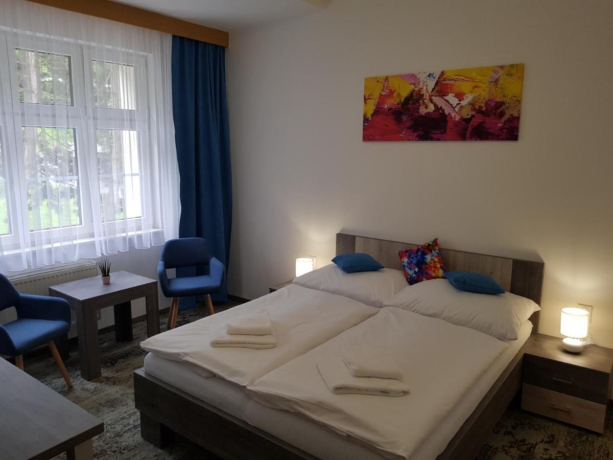 Penzion Vila Tereza Хранице Екстериор снимка
